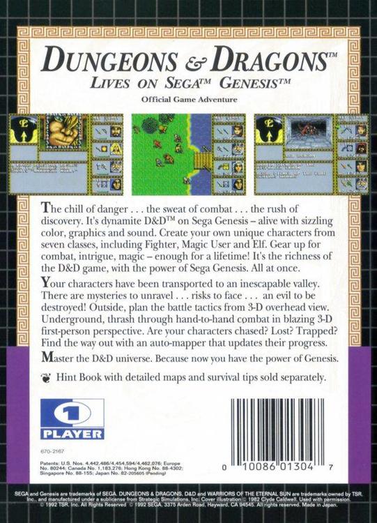 Dungeons & Dragons - Warriors of the Eternal Sun (usagé)