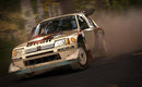 DIRT RALLY (used)