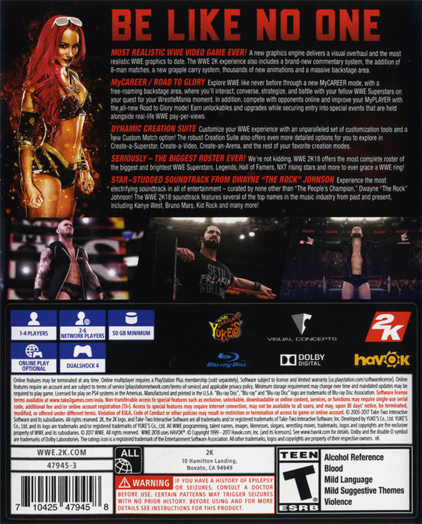 WWE 2K18 (usagé)