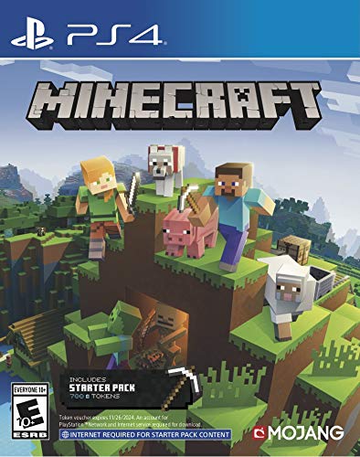 minecraft - Starter Pack