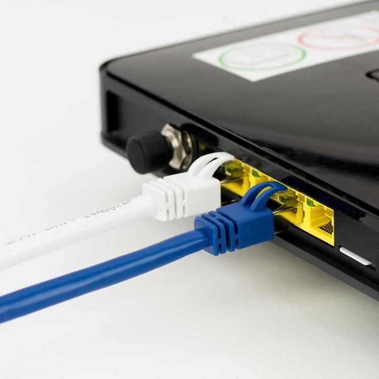 Klermon - Cable de données internet haute vitesse de 6 pieds  -  haute qualité calibre professionel Cat-6