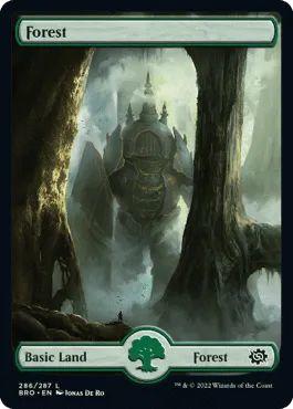 Magic The Gathering - Boîte de basic land  -  The brothers' war