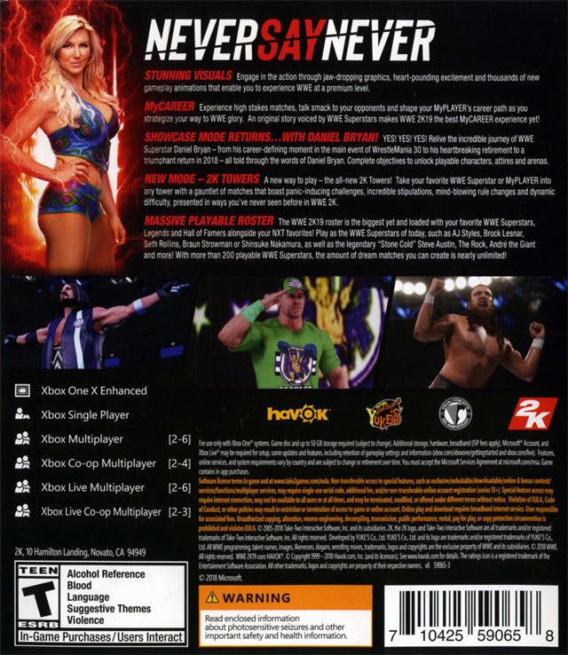 WWE 2K19 (used)