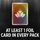 Magic The Gathering - Bundle  -  Murders At Karlov Manor